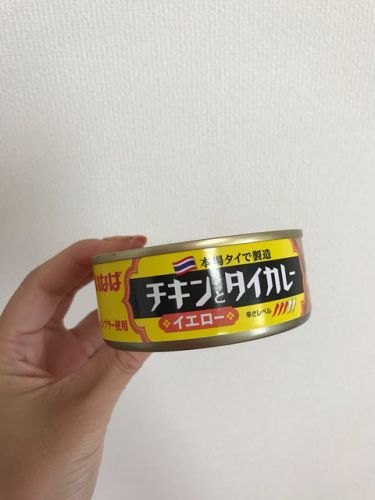 260 チキンとタイカレーイエロー