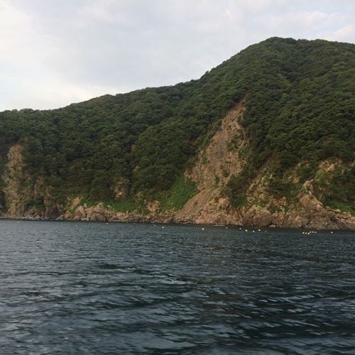 おはようございます︎昨日は休みを戴き趣味の魚突きに行かせて頂きましたまだまだ初心者ですが頑張った結果&hellip;石鯛、メバル、ハタグレ&hellip;計五匹をゲット︎アクティブな友達も大漁でした︎夜は梅田の料理屋さん酒楽いのうえさんで調理をして頂き美味しく胃の中に納めました幸せ（笑）今週はバタバタと私用で中々お店には居てませんが来週はフル出勤しますのでご容赦下さいね今日も暑いですがみんなファイトで〜！ #お腹いっぱい  #げんきカレー #協力雇用主会  #げんき屋デイ #みんなの力で  #小さなボランティア  #西天満 #２００円カレー  #魚突き