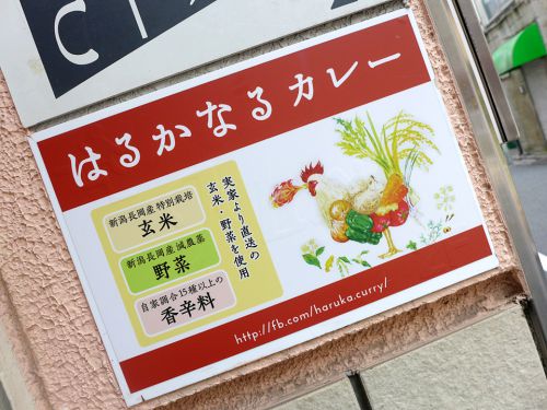 『はるかなるカレー』～銀座ど真ん中の食材に拘り抜いた宿借りスープカレー店☆～