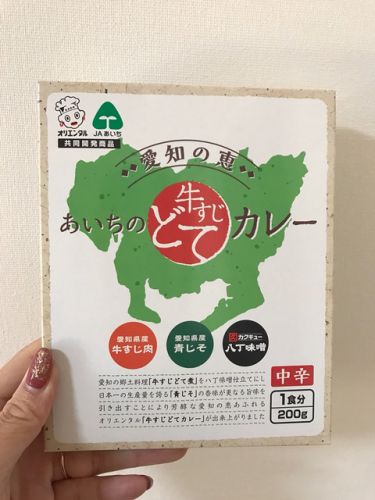 286 あいちの牛すじどてカレー