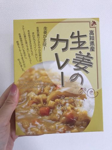 219 生姜のカレー