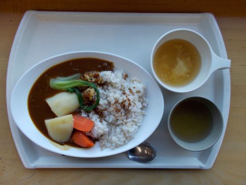 【学食のカレー】成城学園大学 SEIJO LOUNGE 野菜カレー 2014/12