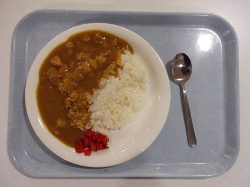 【学食のカレー】流通経済大学 新松戸キャンパス スエヒロ チキンカレー 2015/1