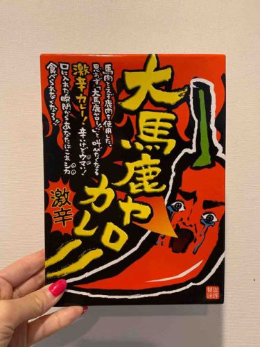 300 大馬鹿ヤローカレー