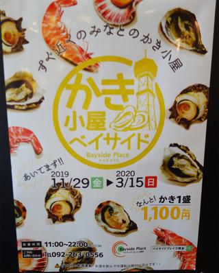 【福岡】博多ふ頭で本格インドカレー♪@106 サウスインディアン ベイサイドプレイス博多店