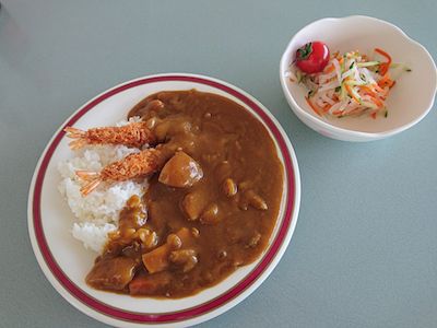 ニューカレー