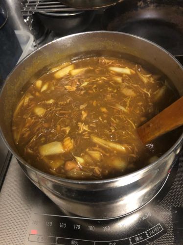 2種類のカレー。鴨と鳥とネギのカレー(ベーススープはカブと大根のポタージュ)カブと大根のポタージュの絞りカスをひき肉とキーマにしたカレー。