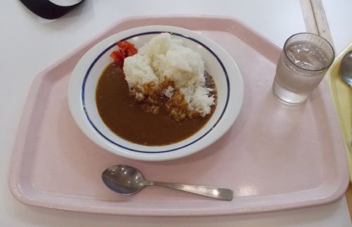 【学食のカレー】桃山学院大学　聖マーガレット館　M食堂　鶏ＭＯＭＯカツマウンテンカレー と 普通のカレーライス　レポ日19/08